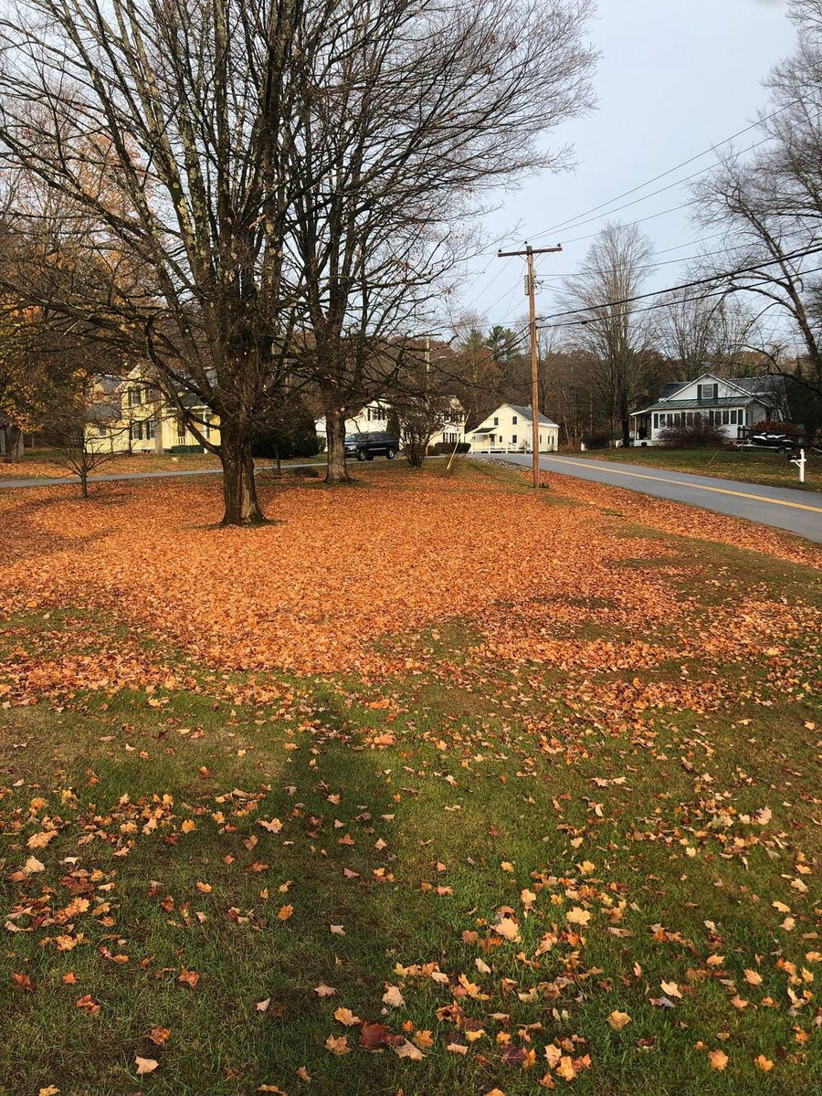 Weekly Mowing for Levi Allen Lawn Care in Rutland County, VT