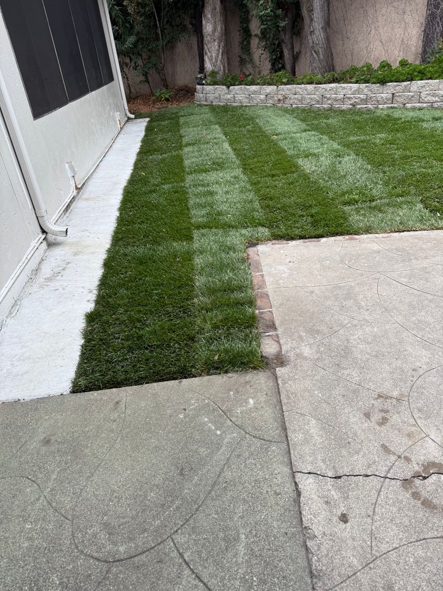 Mulch Installation for CBA Landscaping in Hayward, CA
