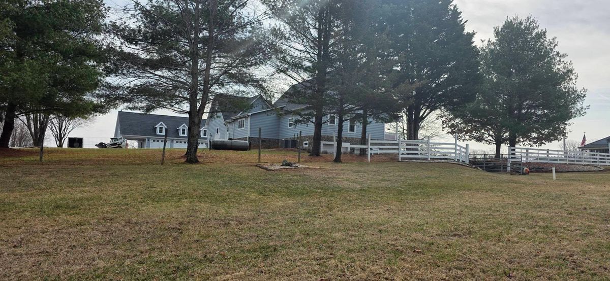 Tree Removal for Hamlett Tree Service LLC in Clover, VA