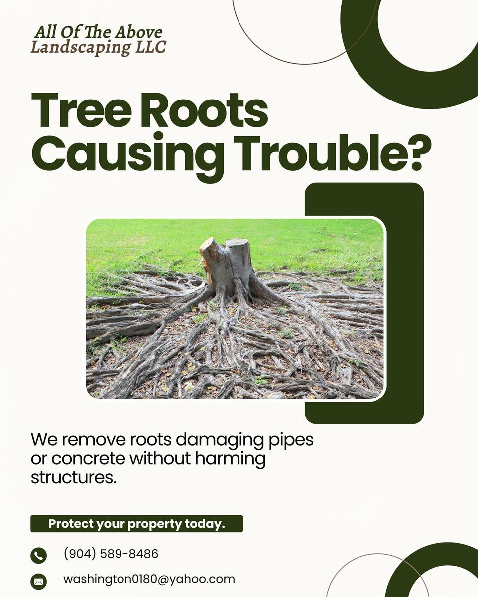 Tree Trimming & Removal for All of the Above Landscaping in Orange Park, FL