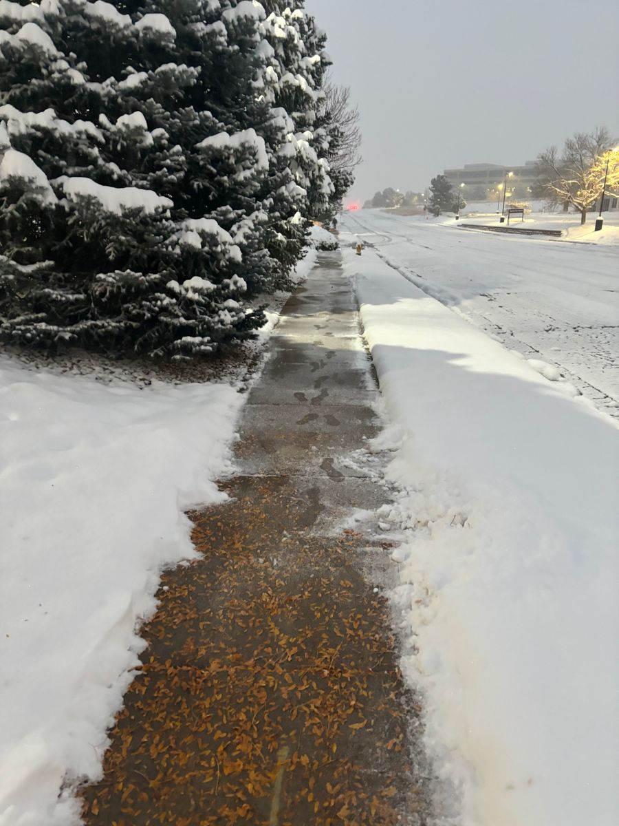 Snow Removals for  LG Contractors in Denver, CO