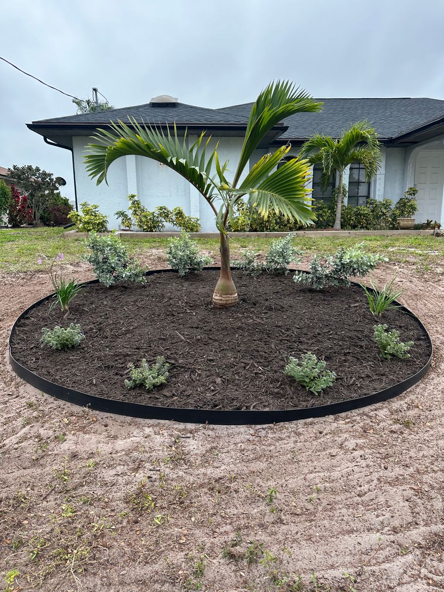 Landscape Design for MX Trees LLC in Englewood, FL
