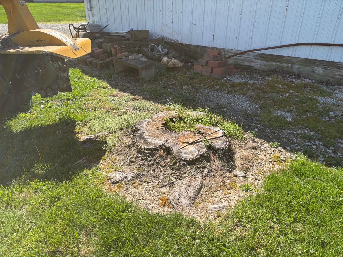 Stump Removal for Conrad's Stump Removal in Columbus, IN