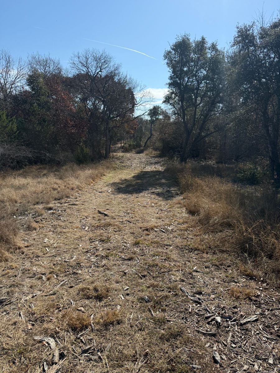 Tree Trimming for Oakley’s Stump ‘N Grind in Leander, TX
