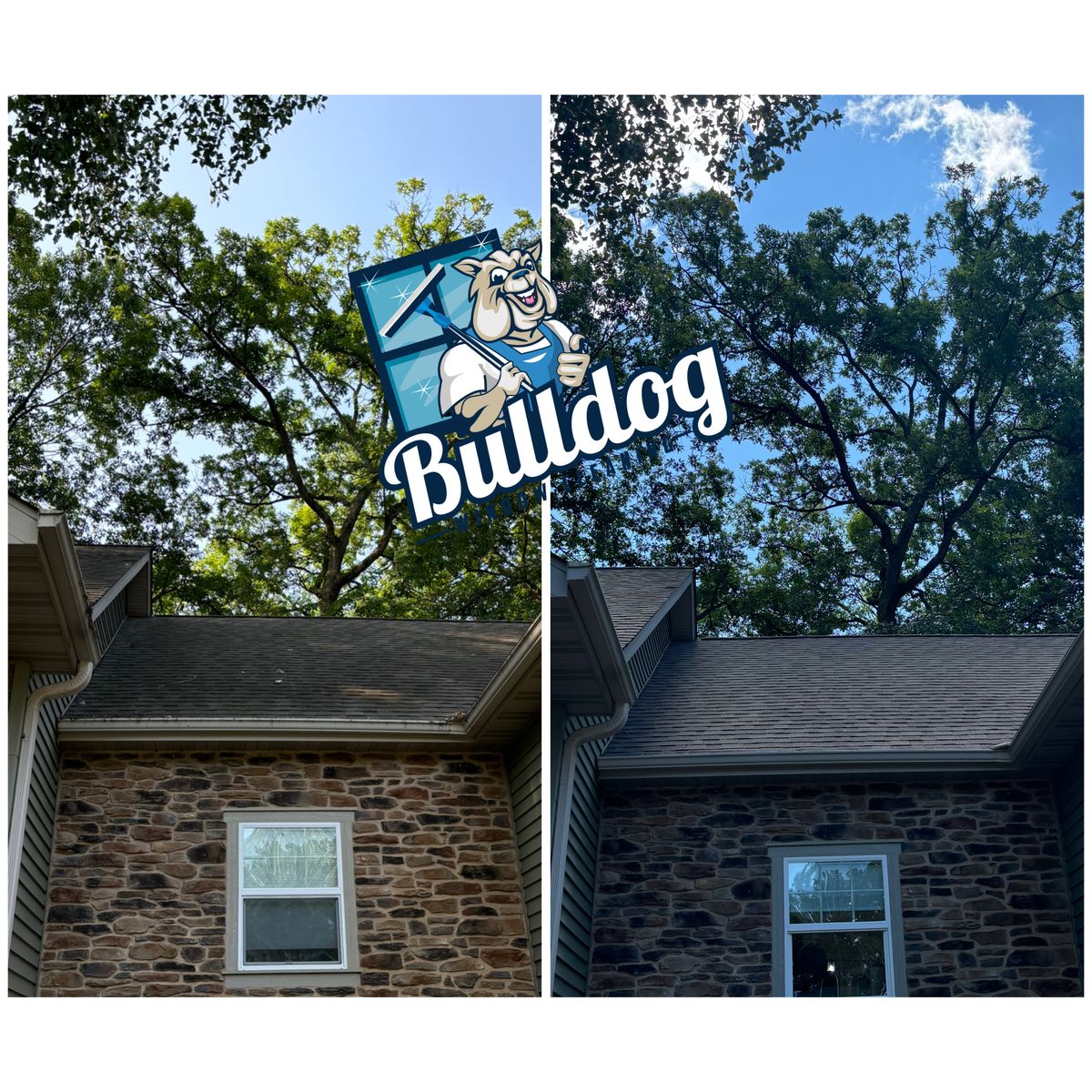 Roof Cleaning for Bulldog Cleaning Services in Walworth County, WI