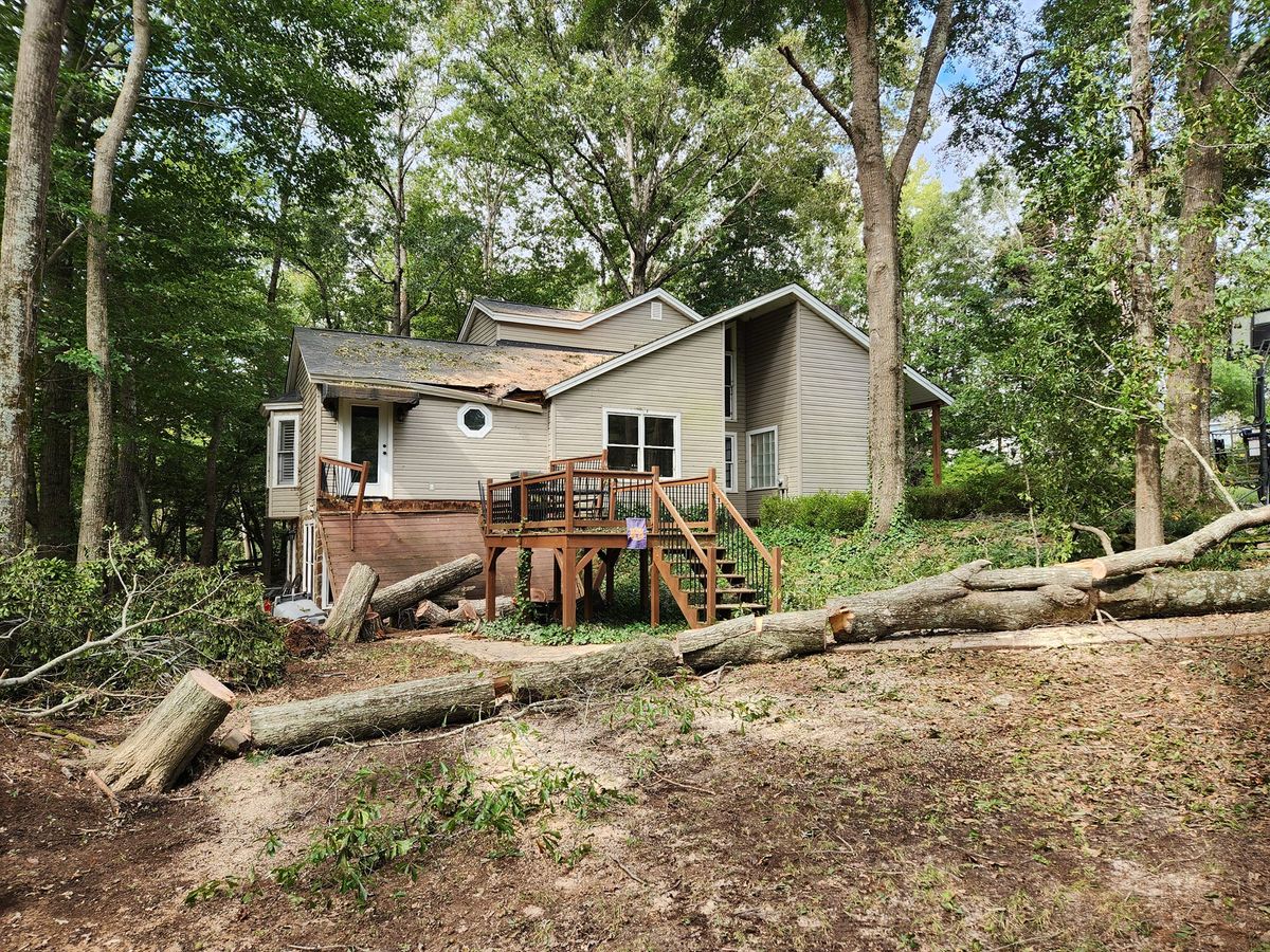 Lot Clearing for Stumpbusters Tree Service in Louisa County, VA