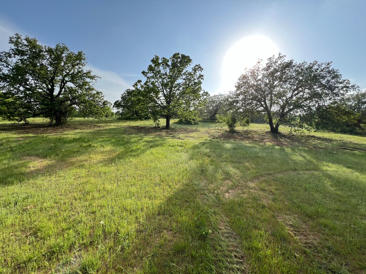 Underbush & Pasture Mowing for D&D Custom Services in Jacksboro,  TX