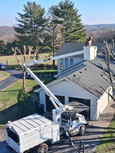 Tree Trimming for Optimum Tree Service And Landscaping in Bowling Green, KY