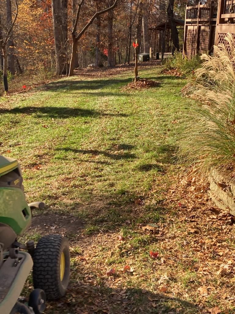 Fall Leaf Cleanup & Removal for Pureleaf Lawncare LLC in Springdale, AR