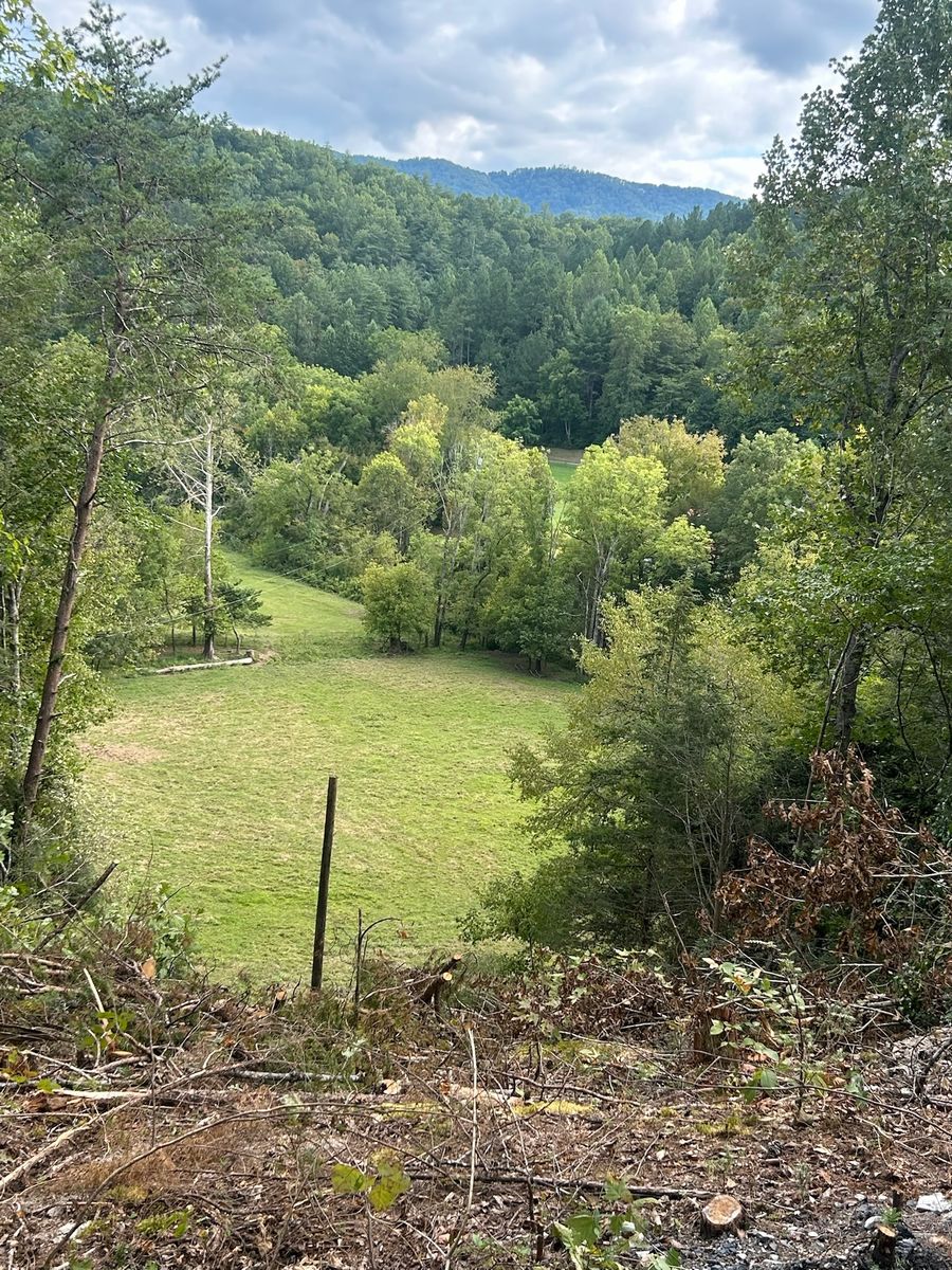 Land Clearing for Dutch Mountain Excavating in Sevierville, TN
