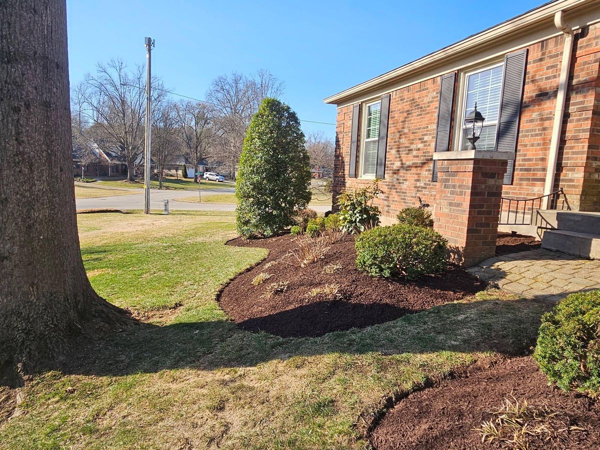 Shrub Trimming for All Seasons Property Maintenance in Louisville, KY