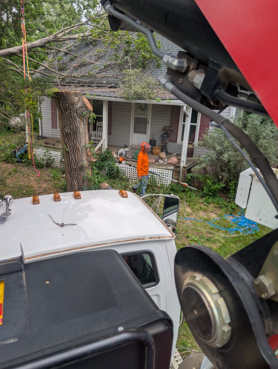 Tree Removal for Mitchell Tree Company in Lathrop, MO
