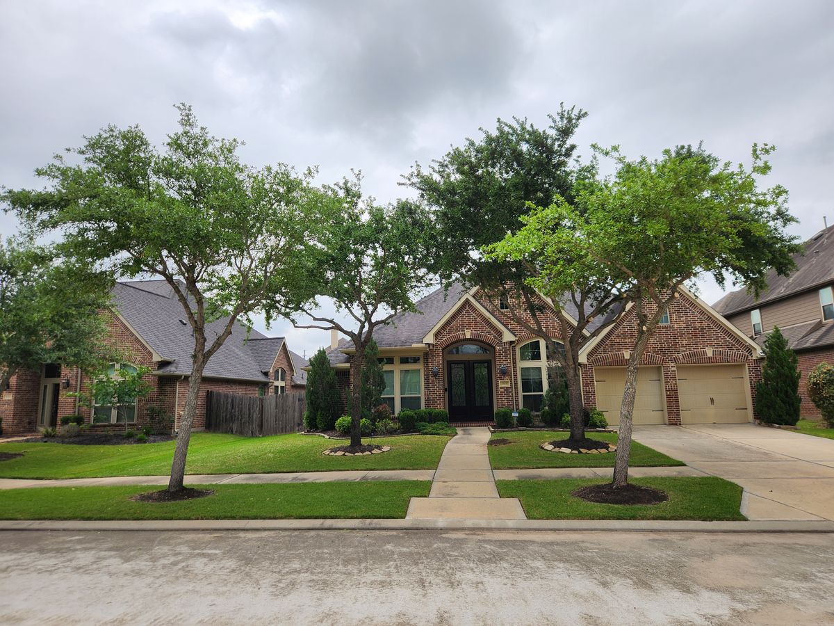 Tree trimming/cutting for Right Choice Landscaping LLC in Houston, TX