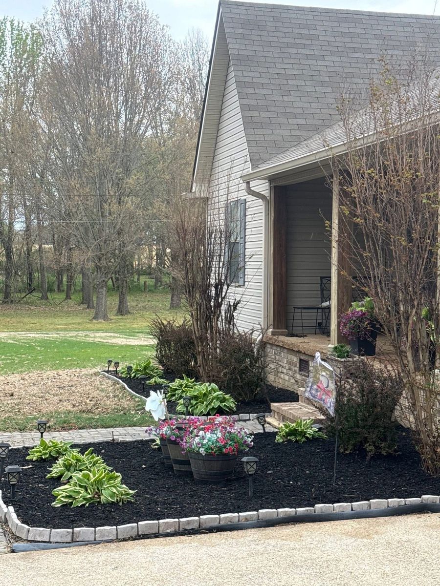 Tree & Shrub Care for Apex Lawn & Landscaping INC in Dyersburg, TN