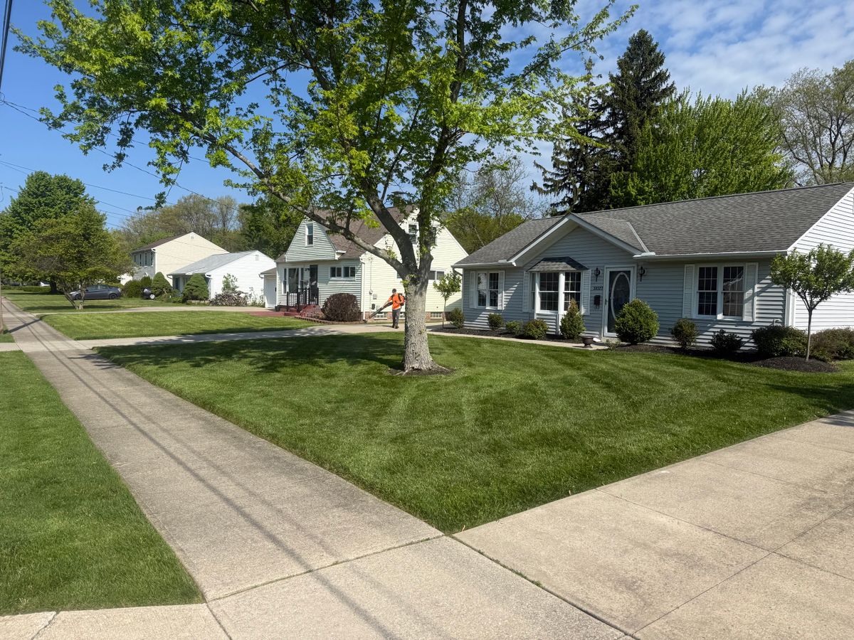 Mowing for Yard Theory in Willowick, OH