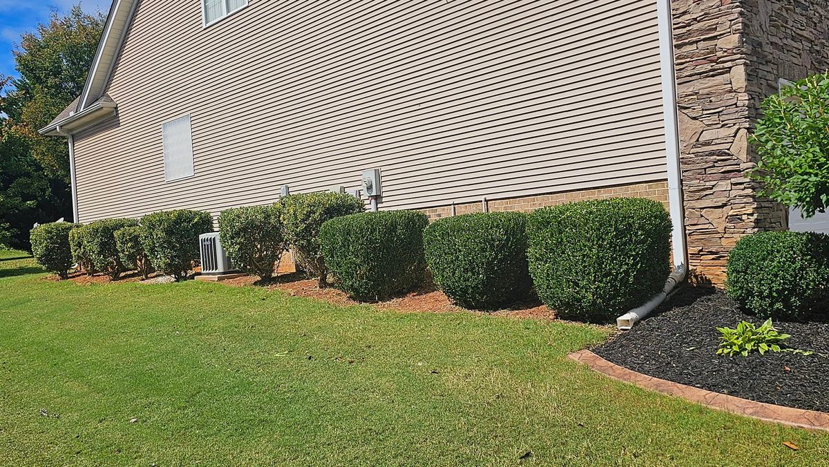 Landscape design for Sunshine's Dreamscapes in Greenville, SC