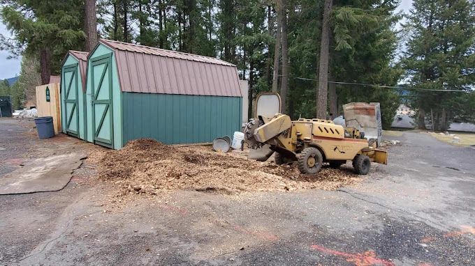 Stump Grinding for AP Tree Service in Colbert, WA