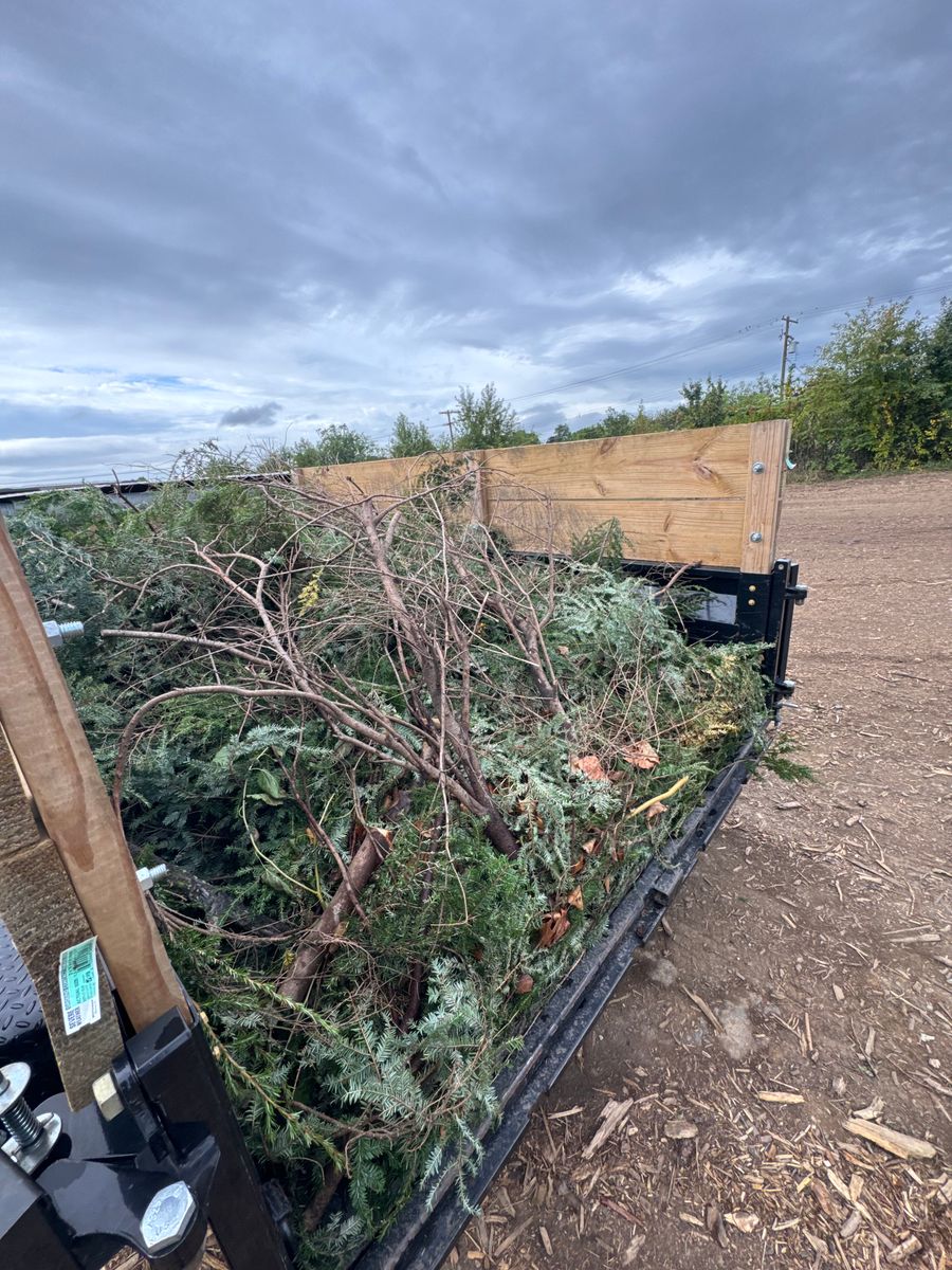 Fall Clean Ups for Landscape & Lawn Care Pros in Temple, PA