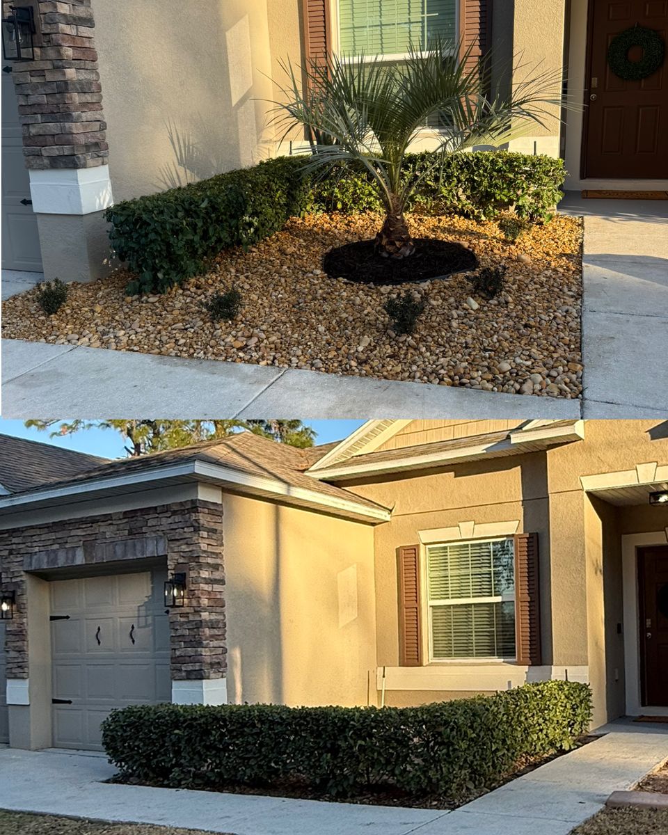 Landscape Installation for Amerigrown Tree And Lawn in Apopka, FL