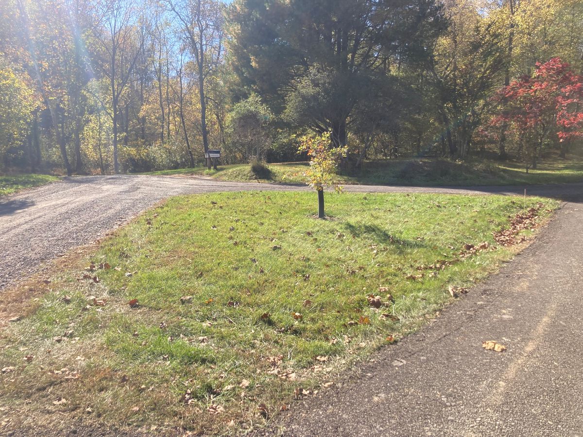 Landscaping for 9999 Building and Renovation LLC in Warrenton, VA