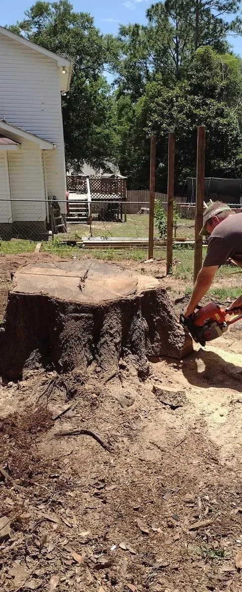 Stump Grinding for Southern Venom Services in Daphne, AL