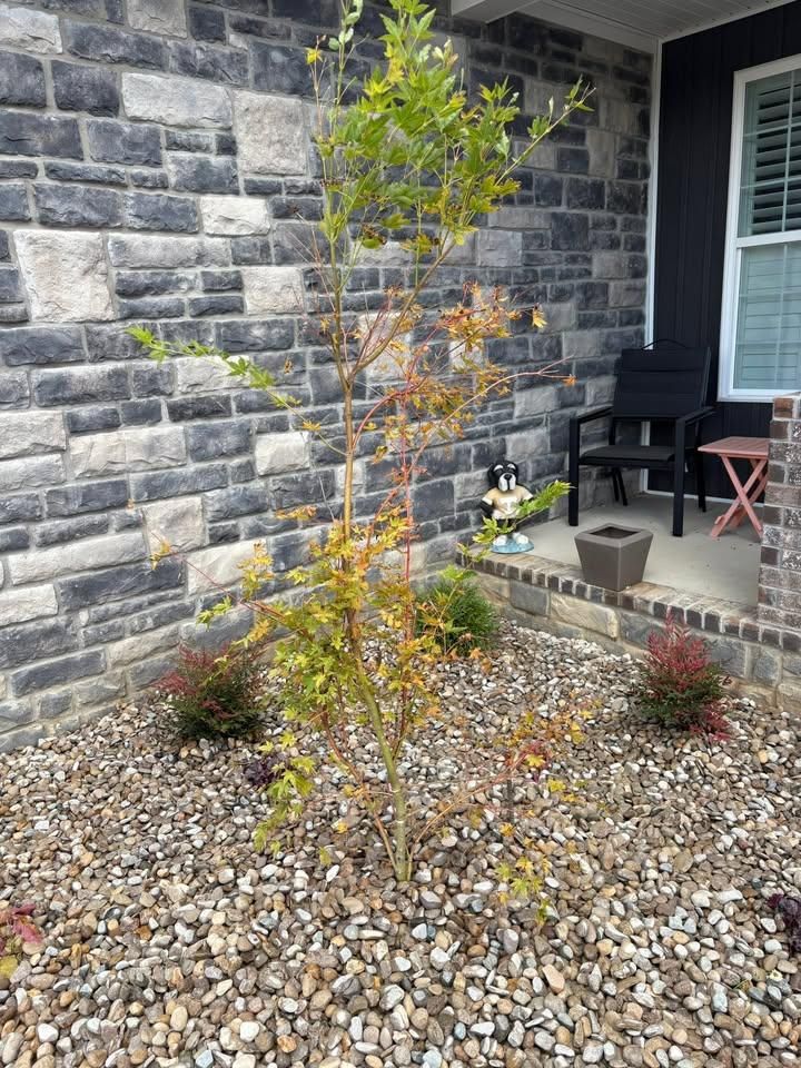 Shrub Trimming for Dust Till Dawn Lawn in London, Kentucky