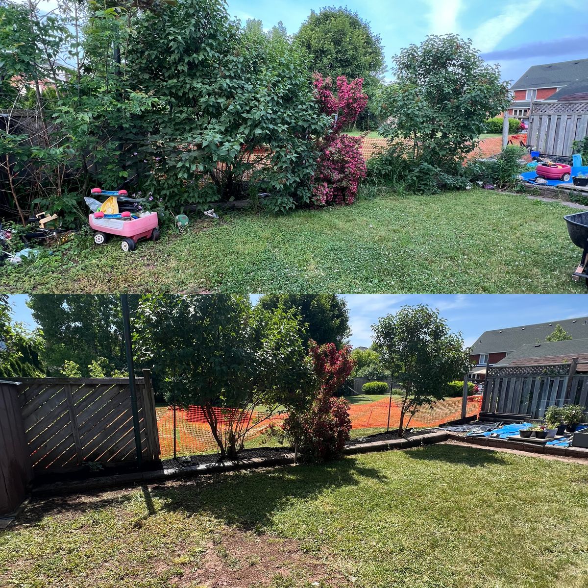 Tree and Shrub removal for CMN Exterior Maintenance in Hamilton, ON