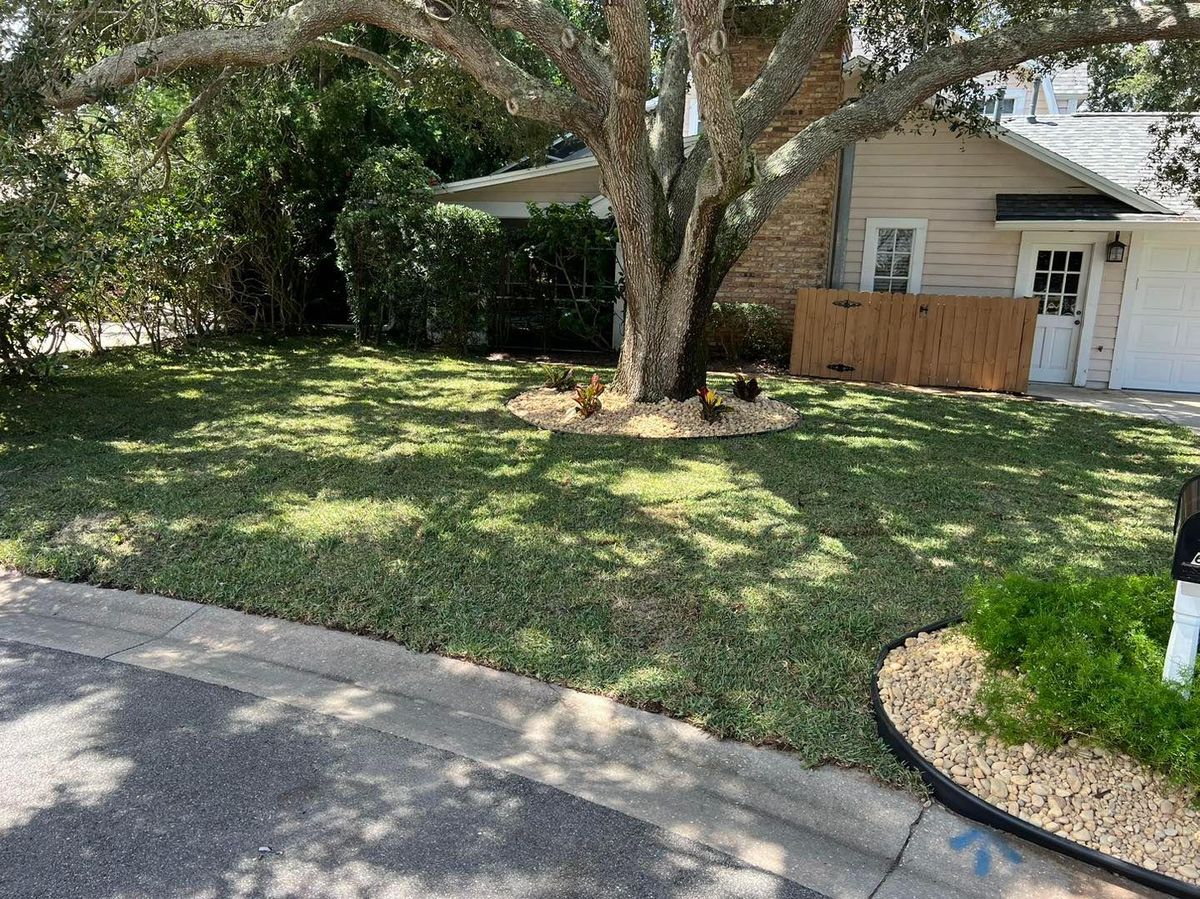 Sod Installation for Florida Pro Turf in  Viera, FL