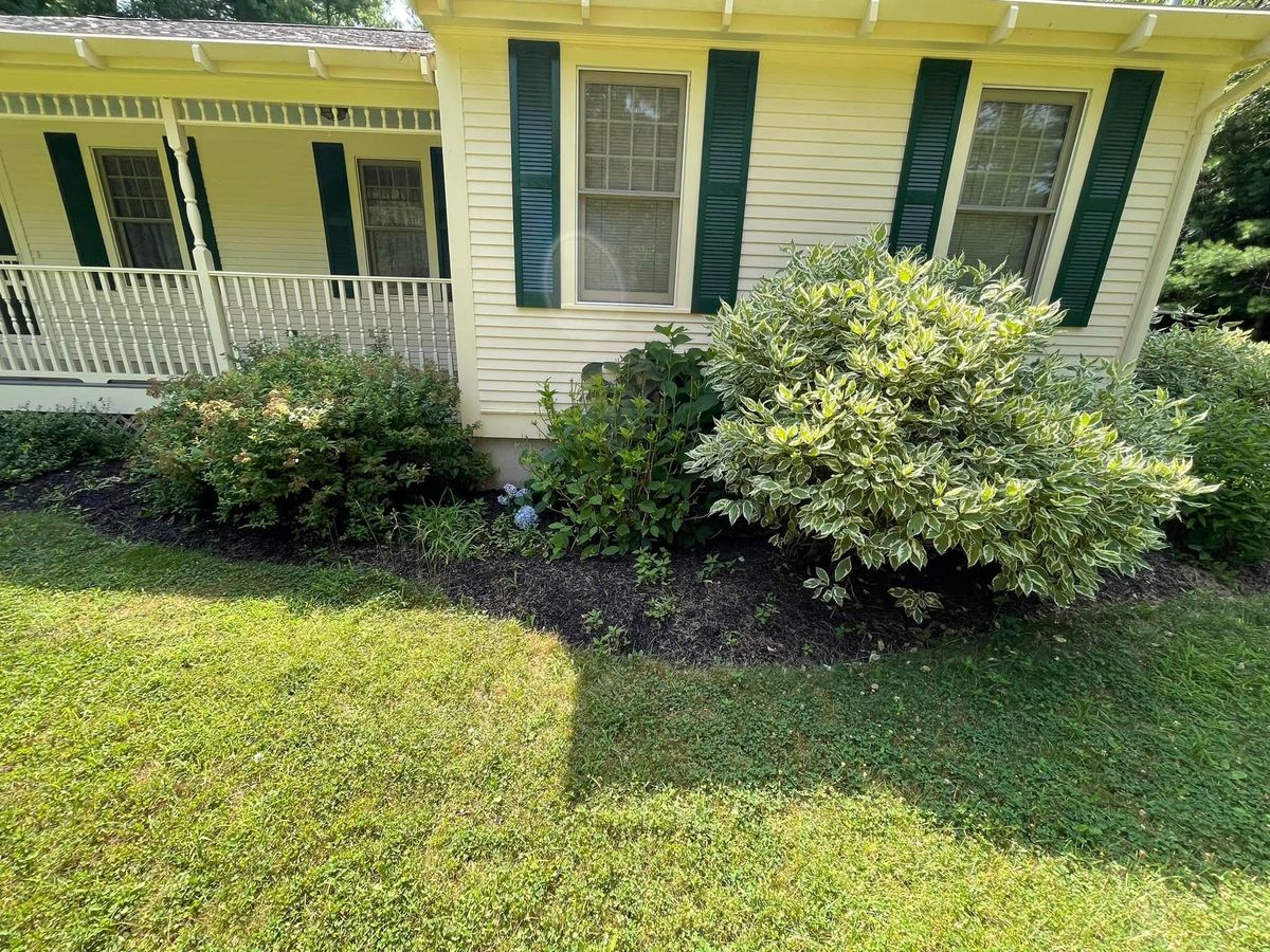 Bush / Tree Trimming for Rose Landscape & Design, Inc. in Abington, MA