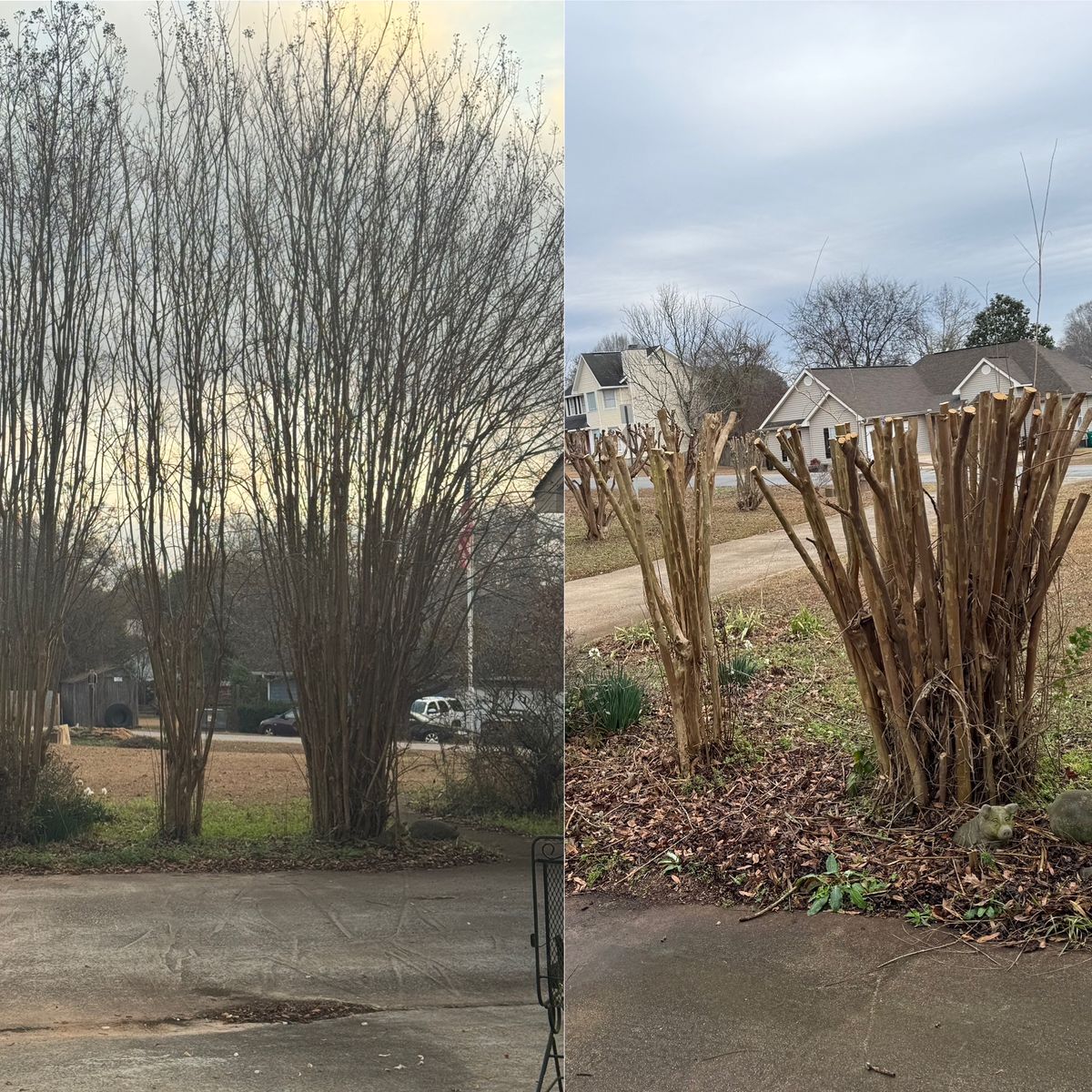 Turf, Ornamental, and Irrigation for Camalett Services in Perry, GA