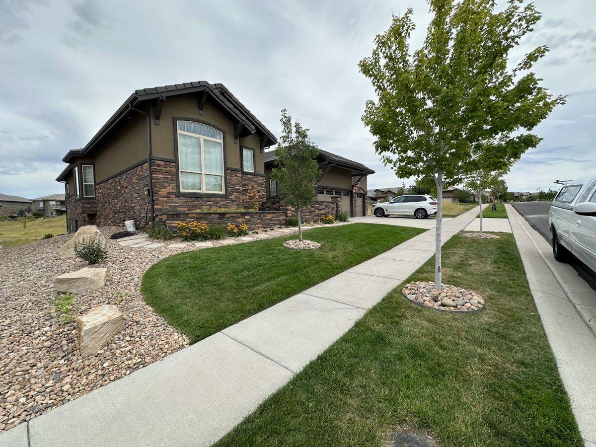 Sidewalk Installation for RT Custom Concrete LLC in Longmont, CO