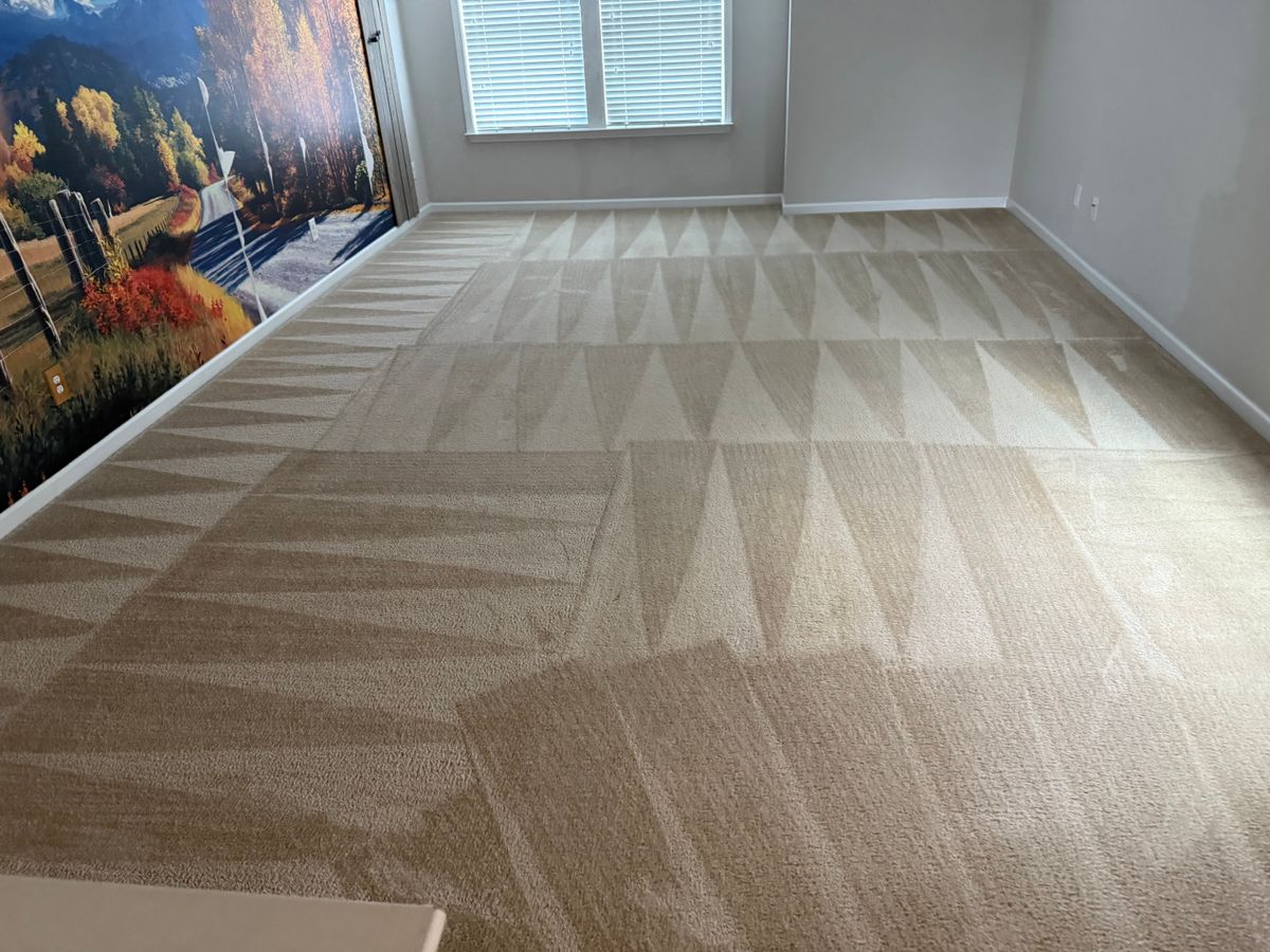 Carpet Cleaning for SteamMaster's in Concord, NC