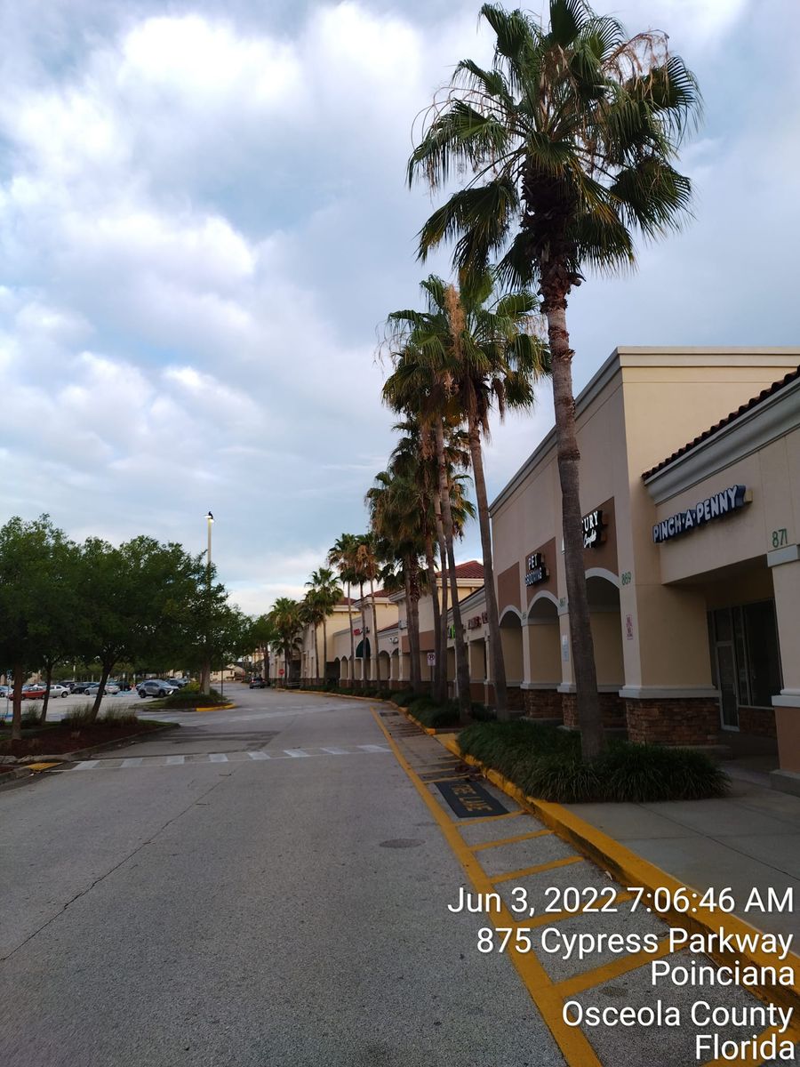 Land Clearing  for Tru Tree Service  in Ocala , FL 