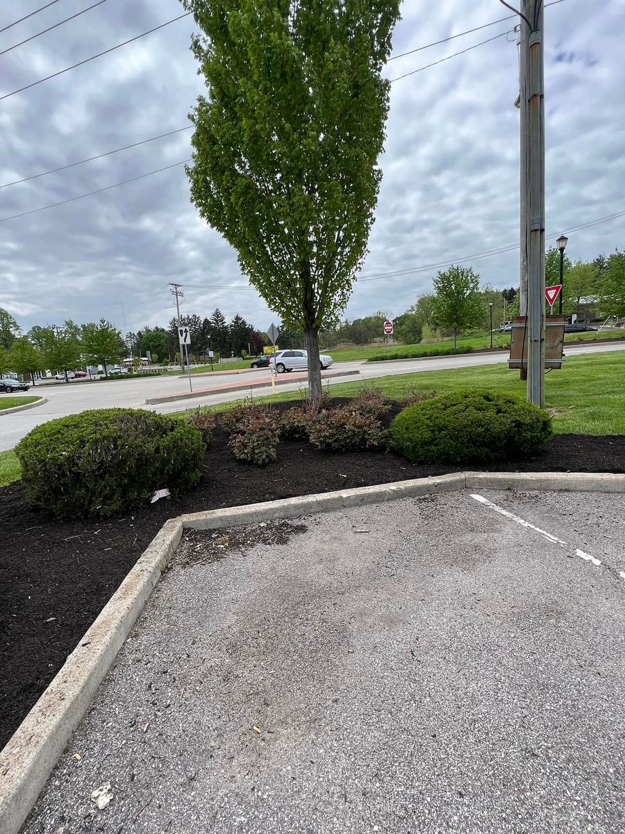 Tree & Shrub Care for Diamond Landscape Maintenance Corp. in Warsaw, IN