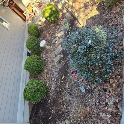 Shrub & Tree Trimming for Lopez Landscaping and Tree Service  in Waynesville, NC