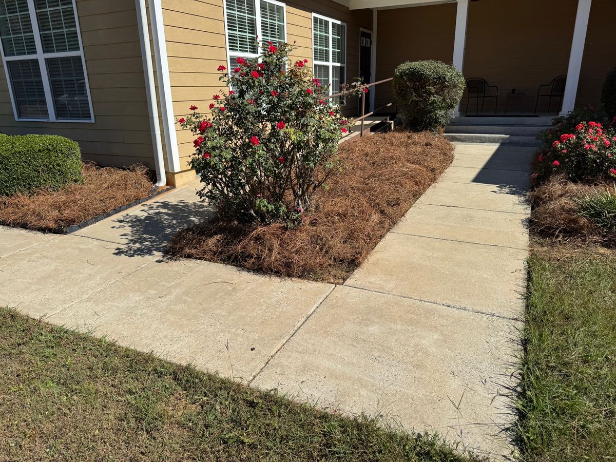 Turf, Ornamental, and Irrigation for Camalett Services in Perry, GA