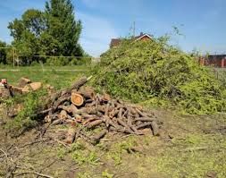 Brush Removal for Barricades  in Greenville, SC