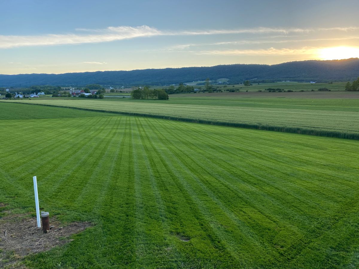 Sod Install for Backyard Acres Lawncare LLC in Chambersburg, PA