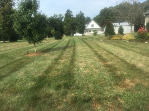 Mowing for Dream Cuts Landscaping and Lawn Care LLC in Gastonia, NC