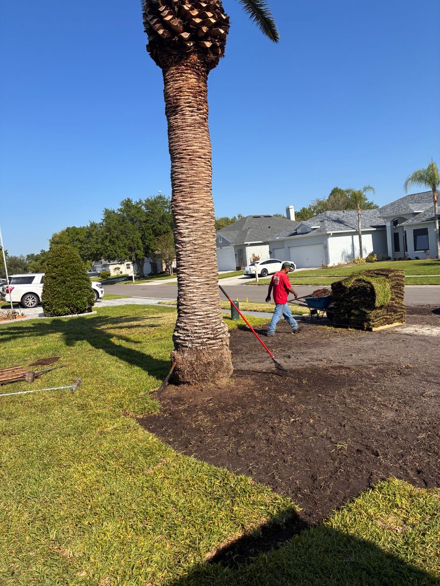 Sod Installation for Gulf Bay Sod in Clearwater, FL