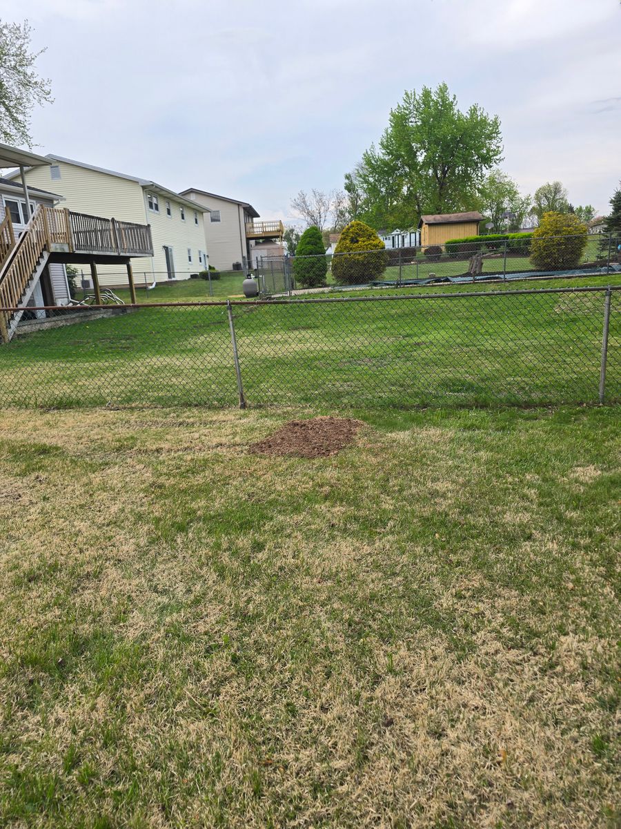 Yard Restoration And Finish Grading for Down Home Landscaping in Stillwater, PA