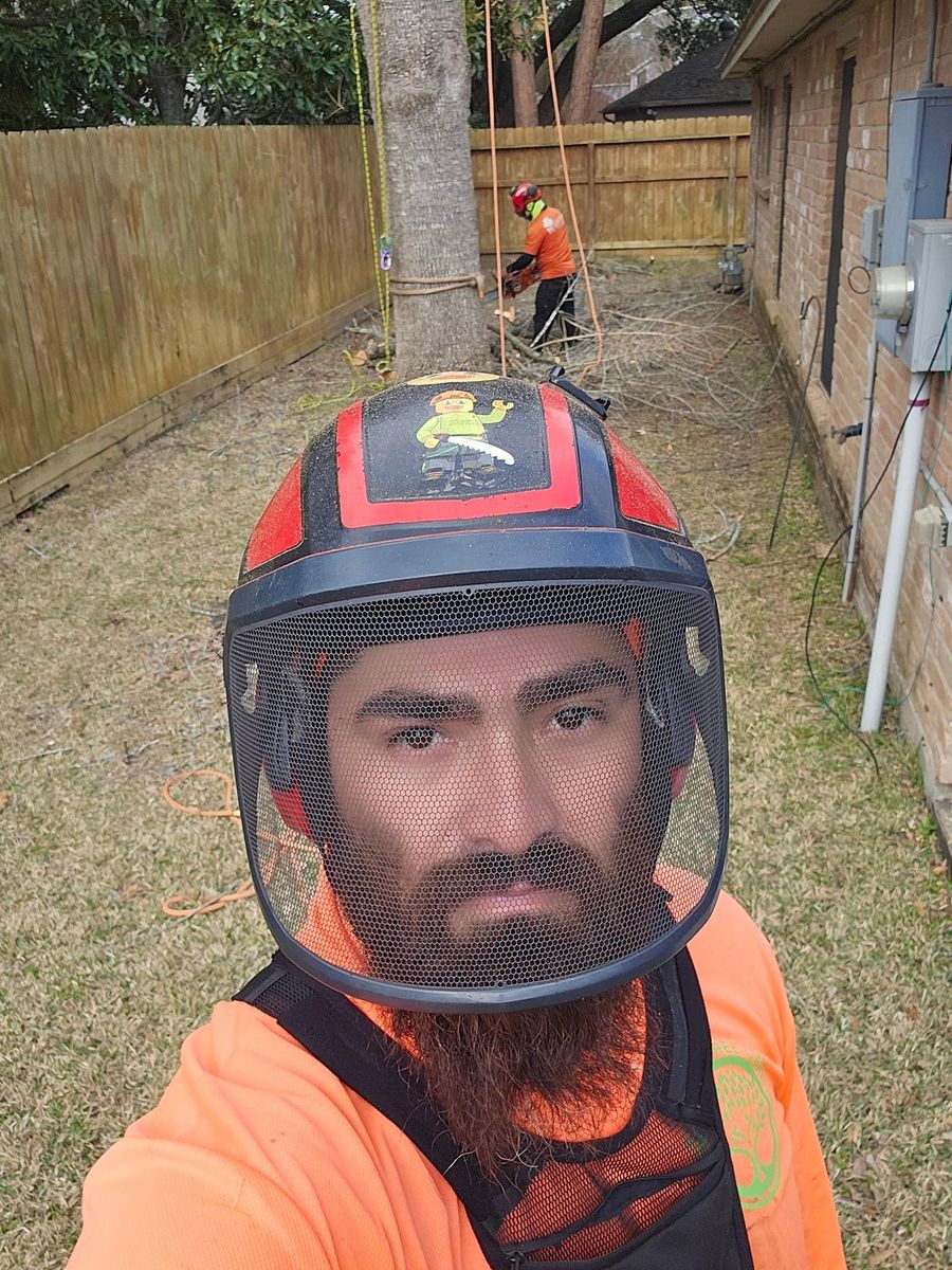 Tree Trimming for Servin's Tree Care  in Houston, TX