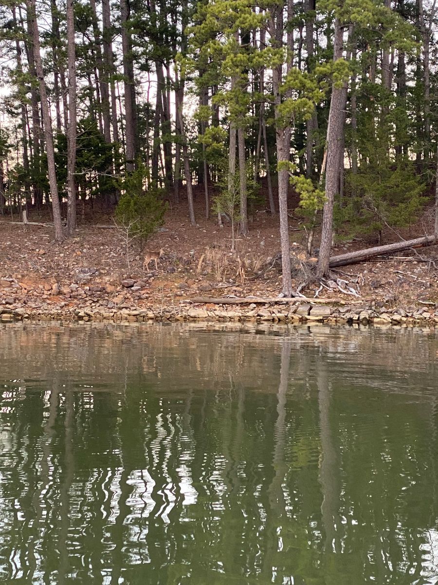 Pond Building for Daniel's Dumpsters & Land Improvements in Monroe, LA