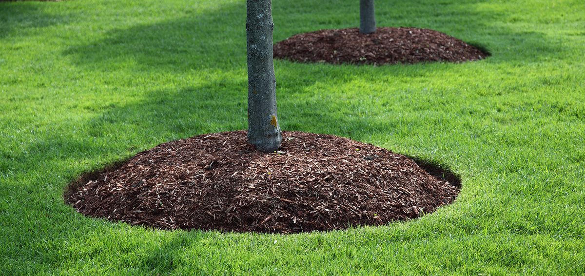 Mulch Installation for All American Landscaping and Lawncare in Nampa, ID