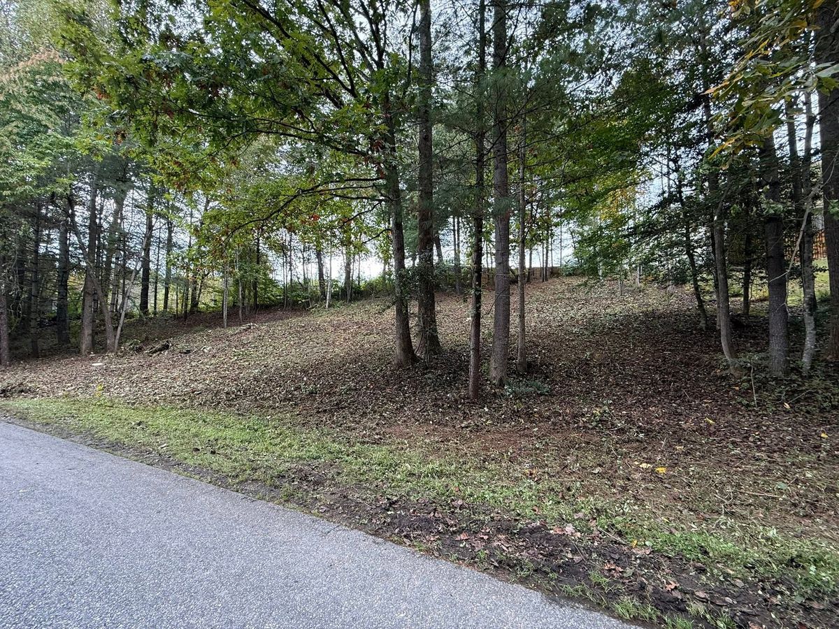 Tree Trimming & Removal for Torres Tree Service and Landscaping in Hendersonville, NC