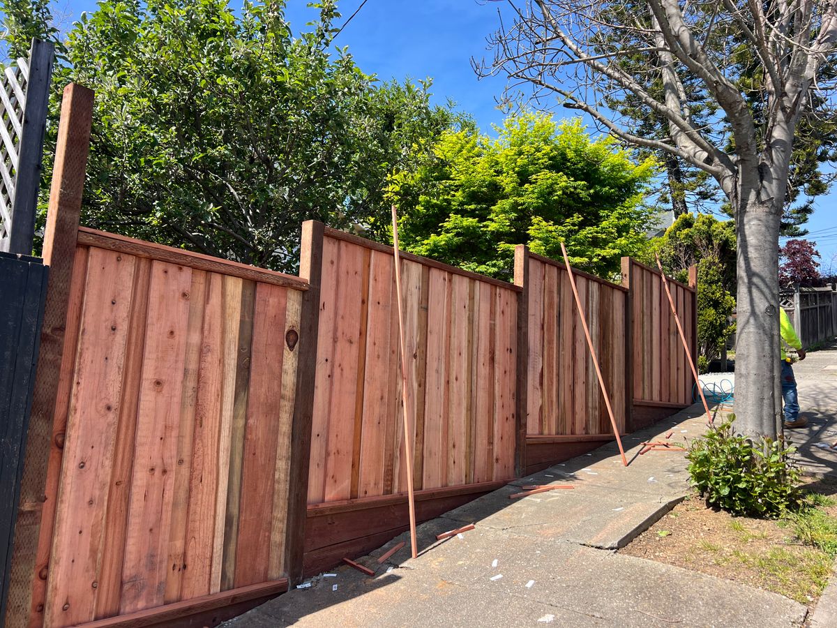 Garden Design for Digging Dudes in Hayward, CA