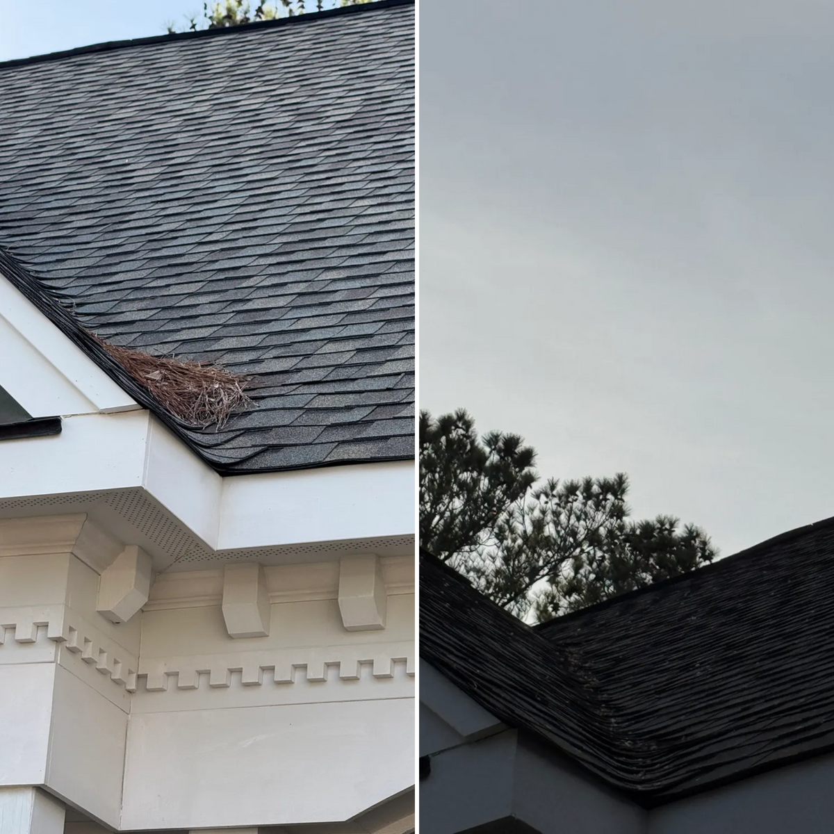 Roof washing  for Paul's Lawn Care and Pressure Washing in Wilson, NC