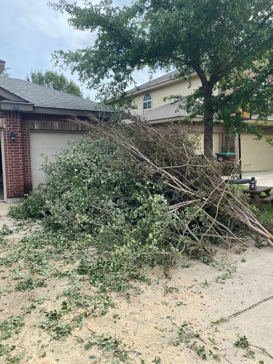 Fall and Spring Clean Up for Z’s Trees LLC in Grey Forest, TX