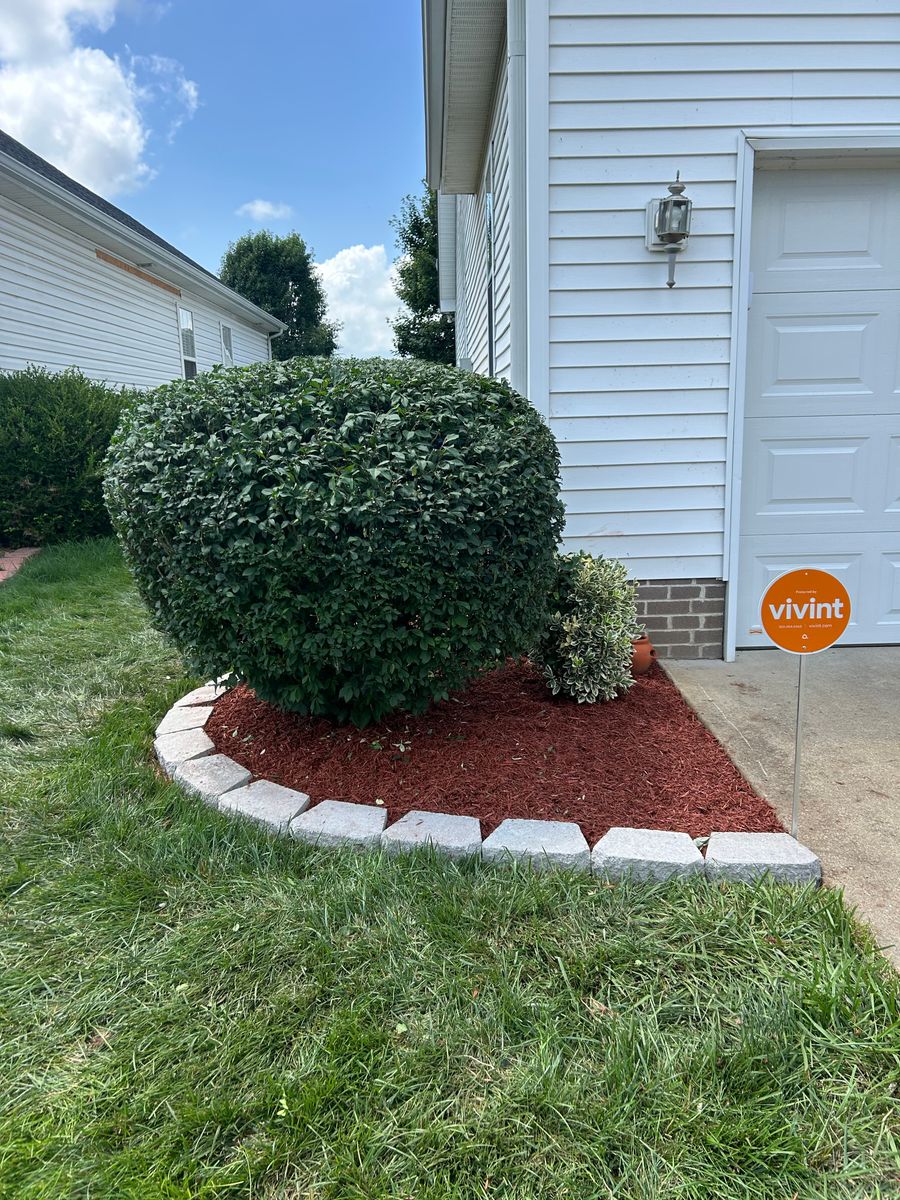 Shrub Trimming for Optimum Tree Service And Landscaping in Bowling Green, KY