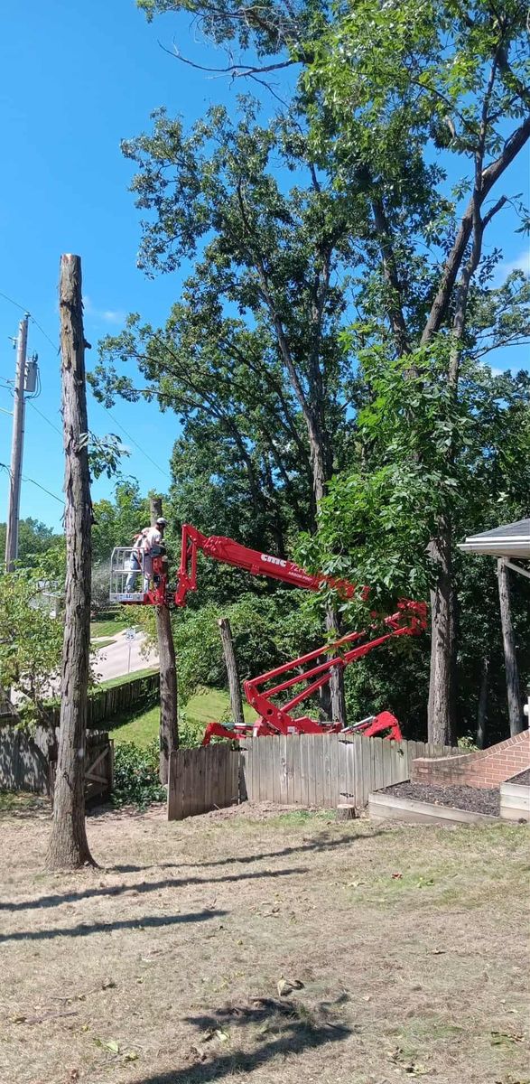 Tree Removal for Lawn Ranger Yard And Tree Service LLC in Ottumwa, IA